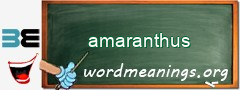 WordMeaning blackboard for amaranthus